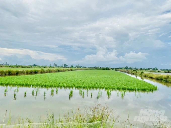 The first specialized rice-shrimp farming area in Vietnam to receive BAP certification