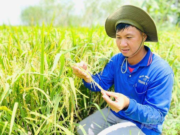 Eco-Friendly Rice Cultivation Reaps Extra Profit: [1] The Fifth Responsible Rice Crop