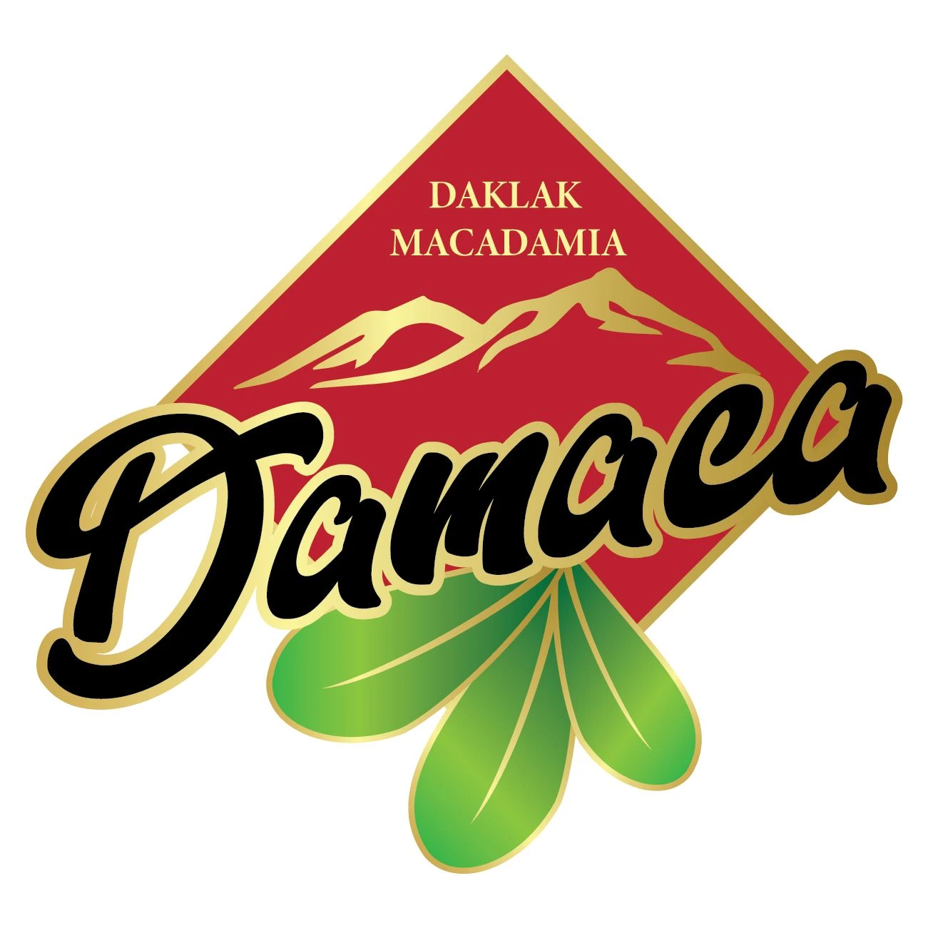 Damaca Logo