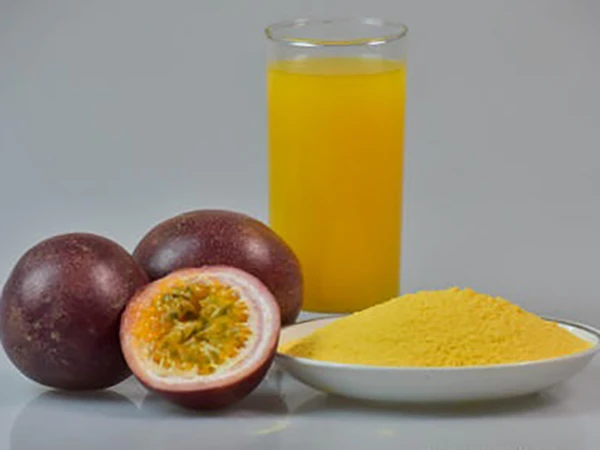 An Phu - Passion Fruit Powder Spray Dryer