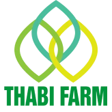 Thabi Farm