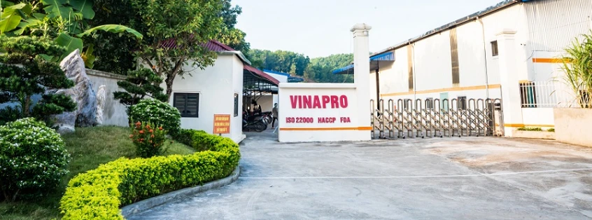 VinaPro