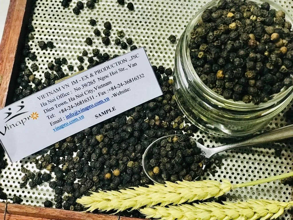 Black Pepper Cleaned 500G/L VinaPro