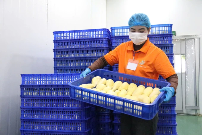 Preservation technology brings Vietnamese fruits deep into China