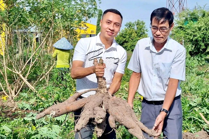 Reduce emissions through sustainable cassava cultivation