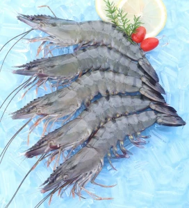 Raw HOSO Black Tiger Shrimp