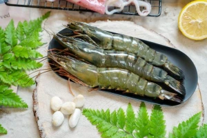 HOSO Black Tiger Prawn