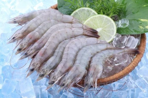 Raw HOSO Vannamei Shrimp