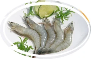 Raw HOSO Vannamei Shrimp