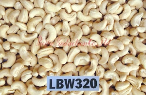 Vietnam Cashew Nut LBW320