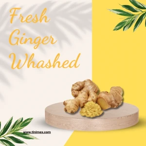 Fresh Ginger Washed