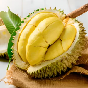 Musang King Durian