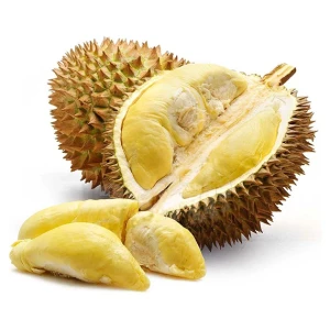 Fresh Durian