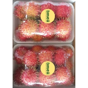 Ameii Rambutan