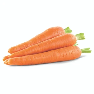 Fresh Carrot