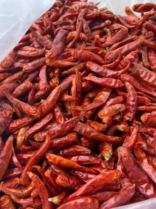 Vietnam Dried Red Chilli