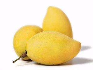 Fresh Mango