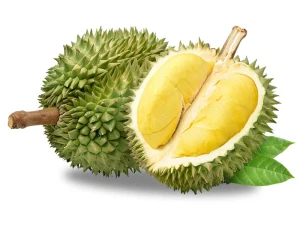 Ri6 Durian