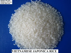 Vietnamese Japonica Rice