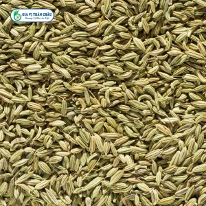 Fennel Seeds