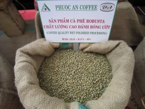 Unwashed Robusta Coffee Grade 1 Screen 16