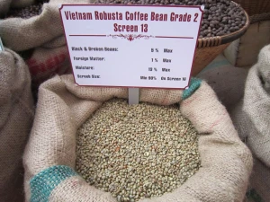 Unwashed Robusta Coffee Grade 2 Screen 13