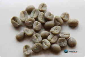 Washed Arabica S18 Coffee