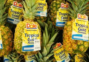 Pineapple MD2 Dole