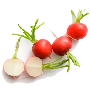 Organic Red Radish