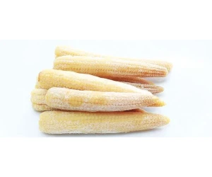 IQF Frozen Whole Baby Corn