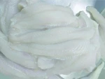 Pangasius Fillet (Well-trimmed)
