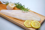 Well-trimmed Basa Fillet