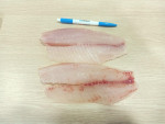 Red Tilapia Fillet