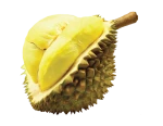 Monthong Durian