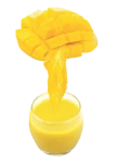 Mango Puree