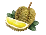 Ri6 Durian