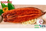 Kabayaki Marinated Eel