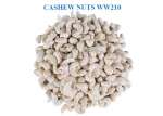 Cashew Nuts WW180