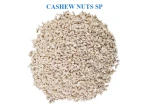 Cashew Nuts SP