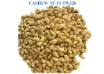 Cashew Nuts SW320