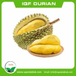 Frozen Durian