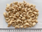 Cashew Nut