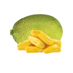 Changai Jackfruit