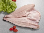 Pangasius Butterfly