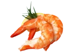 Cooked Shrimp