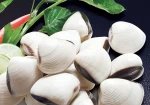 Frozen Cooked White Clams