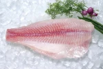 Pangasius Fillets Untrimed