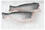 Frozen Pangasius HGT