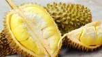 Durian