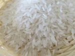 OM5451 Rice